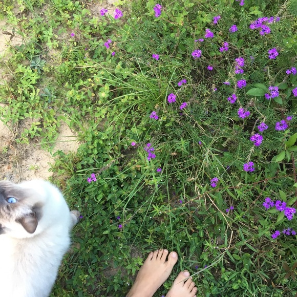 Meet your Posher, Amanda Hopper - Picture 10 of 10